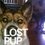 LOST PUP (Explicit)