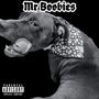 Mr. Boobies (Explicit)