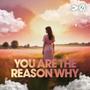 You Are The Reason Why