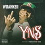 YNS (Explicit)