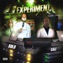 The Experiment (Explicit)