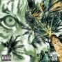 TIGERS & PALM TREES (Explicit)