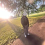 xtra (feat. RICO SILVERX) [Explicit]