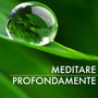 Meditare Profondamente - Vivere Bene con Musica Rilassante per Yoga & Mindfulness