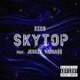 Skytop (feat. Jessie Vargass) [Explicit]