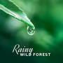 Rainy Wild Forest: Relaxing Music for Spa, Music for Massage, Nature Melodies, Singing Birds, Waterscapes, Sleeping and Wellness