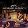 Inebriated Thoughts (Explicit)