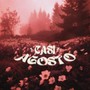 CASI AGOSTO (Explicit)