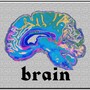 Brain