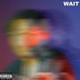 Wait (Explicit)