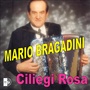 Ciliegi rosa