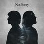Not Sorry (feat. Roko Santana) [Explicit]
