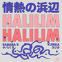 Halilim Halilim - 情熱の浜辺