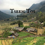 Tseem Tos