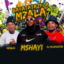 Bayatatazela Mzala