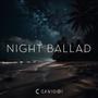 Night Ballad (feat. Dani Marx)