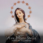 Ave Maris Stella (Cover)