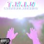 T.W.I.N (Explicit)