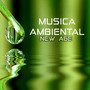 Musica Ambiental New Age - Canciones Instrumentales para Dormir