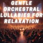 Gentle Orchestral Lullabies for Relaxation