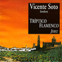 Tríptico Flamenco: Jerez