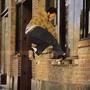 Frontin' Frontside Noseslide