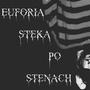 euforia steka po stenach (Explicit)