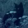 Find u (Explicit)