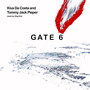 Gate 6 (Explicit)