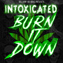 Burn It Down (Explicit)