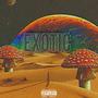 Exotic (feat. Kel Vo) [Explicit]