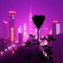 Rosa Negra