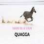 Quagga (Radio Edit)