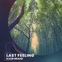 Last Feeling