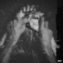 Freaked Out (Explicit)