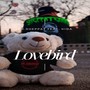 Lovebird