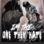 IM THE ONE THEY HATE (Explicit)