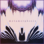 METAMORPHOSIS : Evolving Ambient Rock