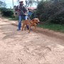 Ongeza Volume