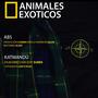 Animales Exóticos (Explicit)