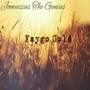 Faygo Gold