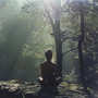 Mindful Meditation Melodies: Music for Focus