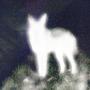 Froth III (Explicit)