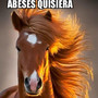 Abeses Quisiera