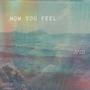 How You Feel (feat. Acehitz) [Explicit]