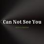 Can Not See You (feat. Kyllian, Trung Duong & Tekans) [Explicit]