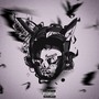 Entre Sombras (Explicit)