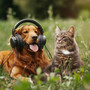 Chill Music for Pets: Snuggly Sounds