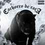 Cachorro de Raça (Explicit)