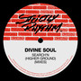 Search'N (Higher Ground) (Mixes)